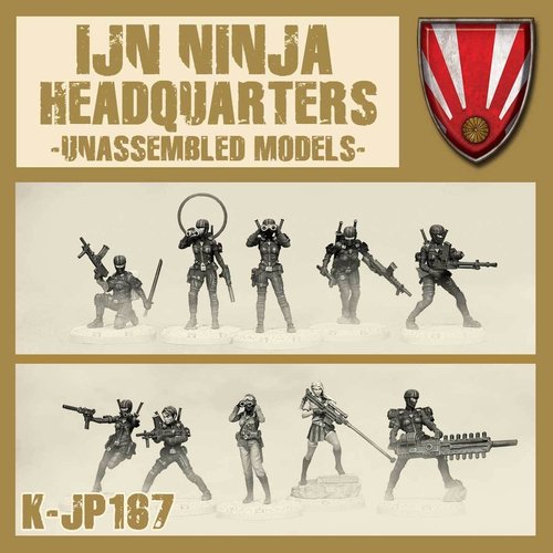 Ninja HQ Kit
